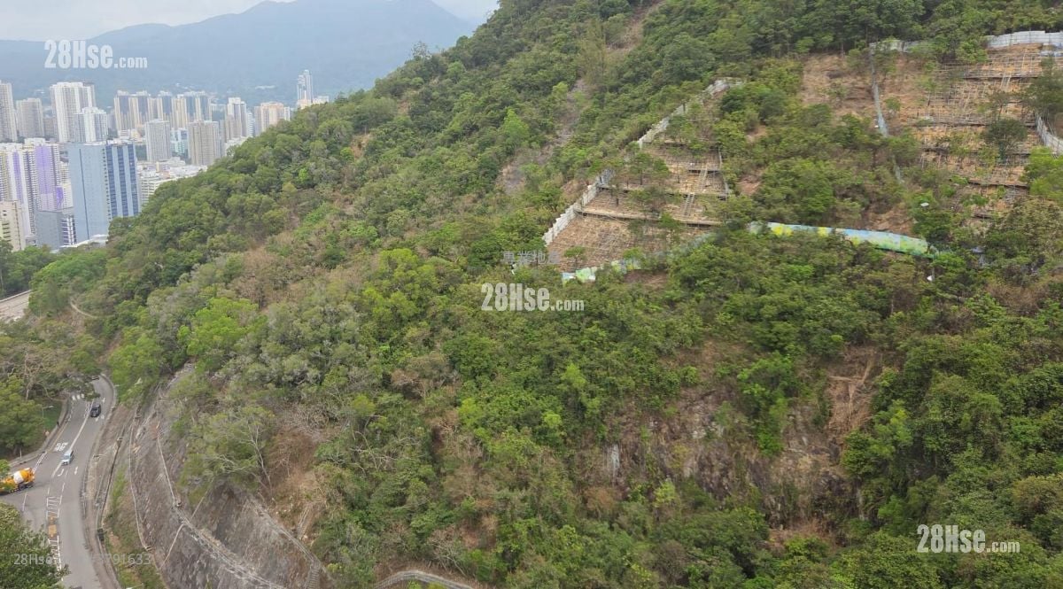 华员邨华义阁 售盘 2 房 510 平方尺