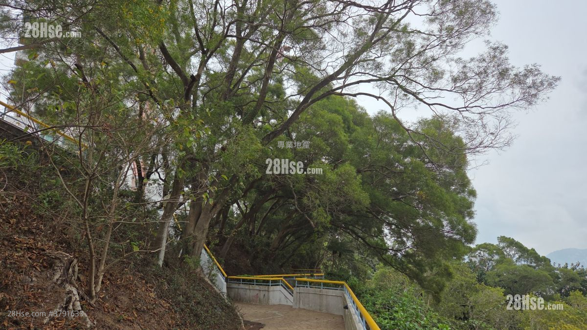 华员邨华义阁 售盘 2 房 510 平方尺