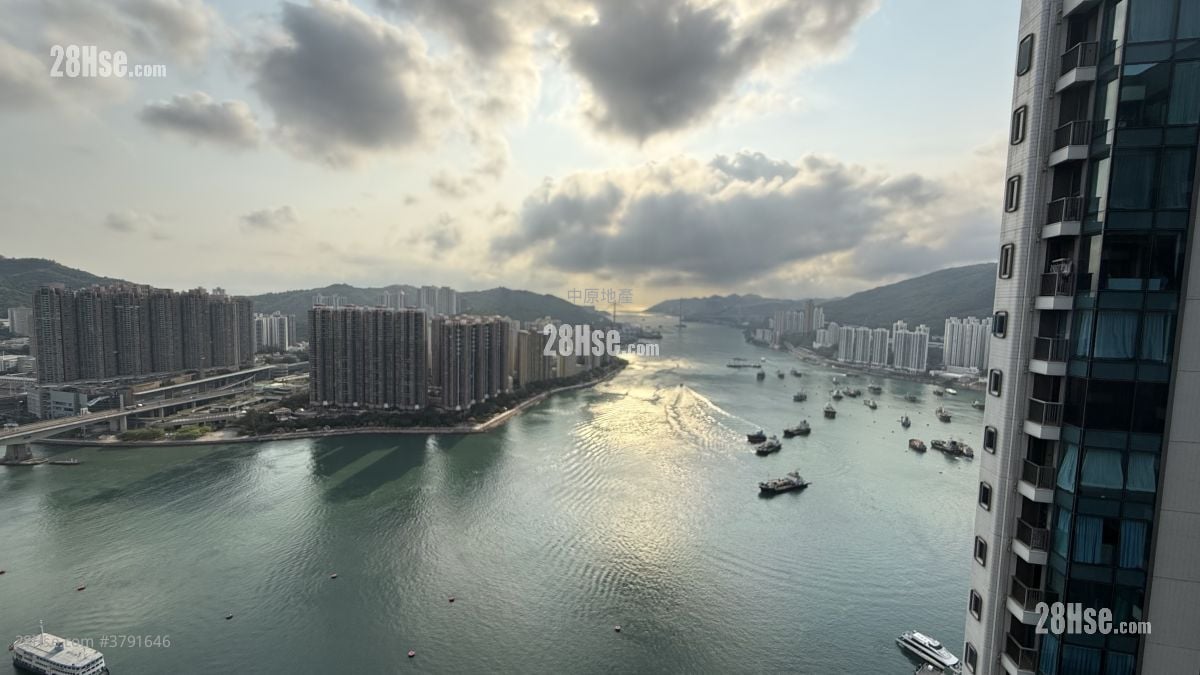 柏傲湾 售盘 1 房 421 平方尺