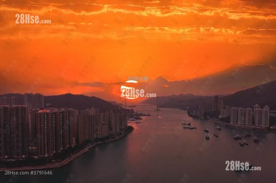 柏傲湾 售盘 1 房 421 平方尺