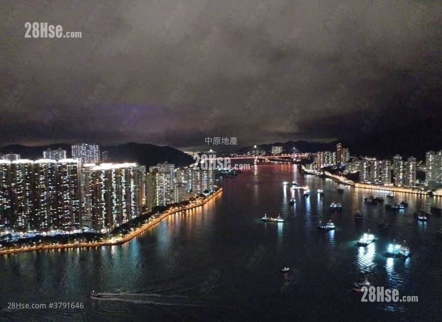 柏傲湾 售盘 1 房 421 平方尺