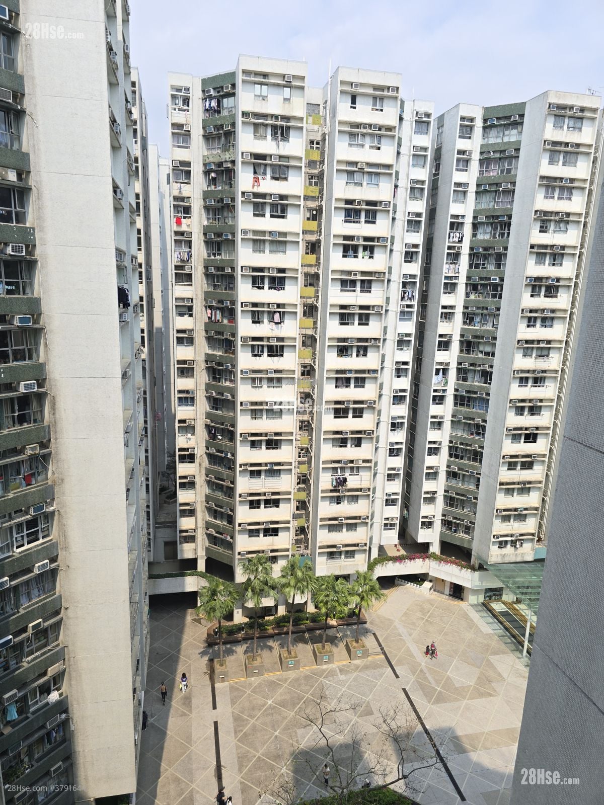 黄埔花园 售盘 2 房 , 1 浴室 389 平方尺