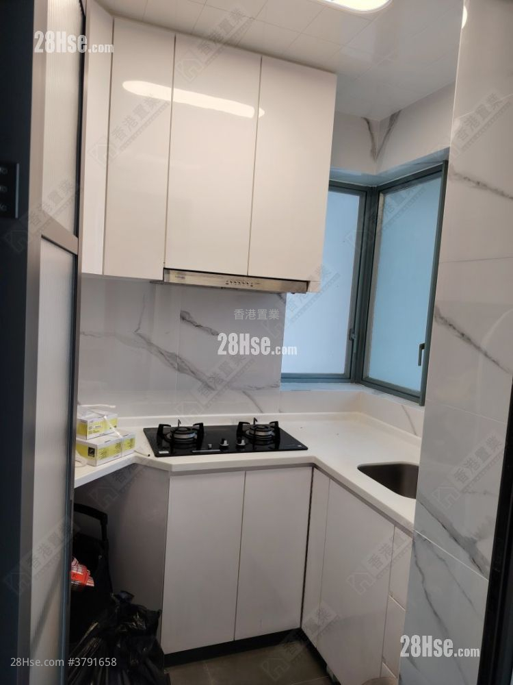 Ocean Shores Rental 2 Bedrooms , 1 Bathroom 484 ft²