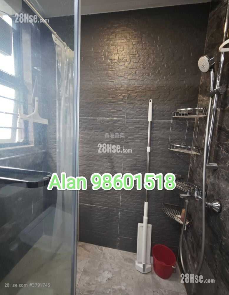 珀丽湾 租盘 2 房 , 1 浴室 490 平方尺