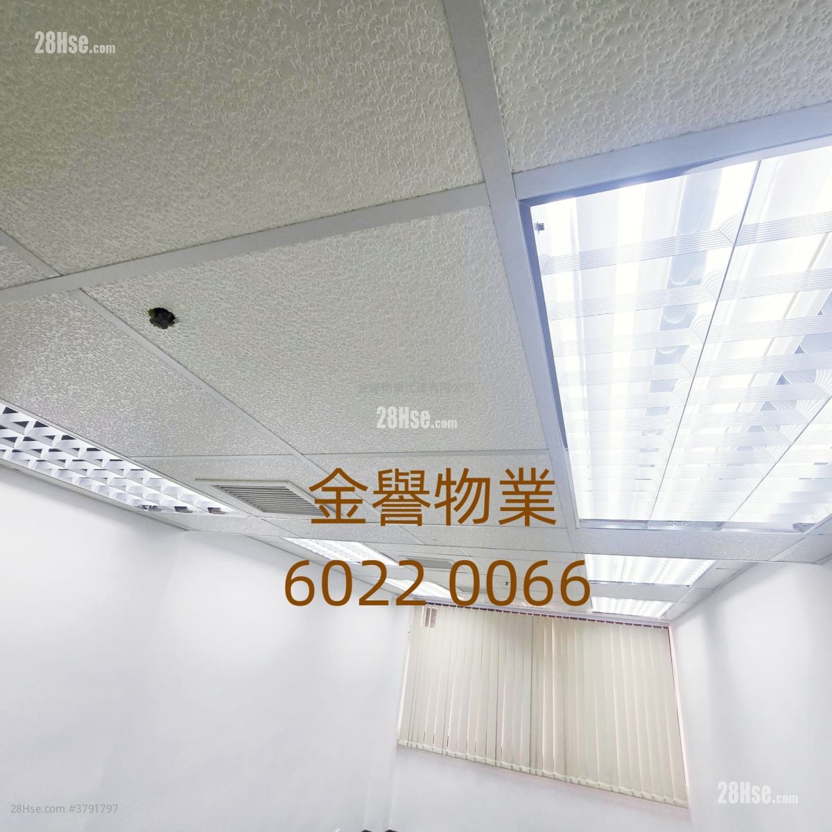 Witty Commercial Building Rental