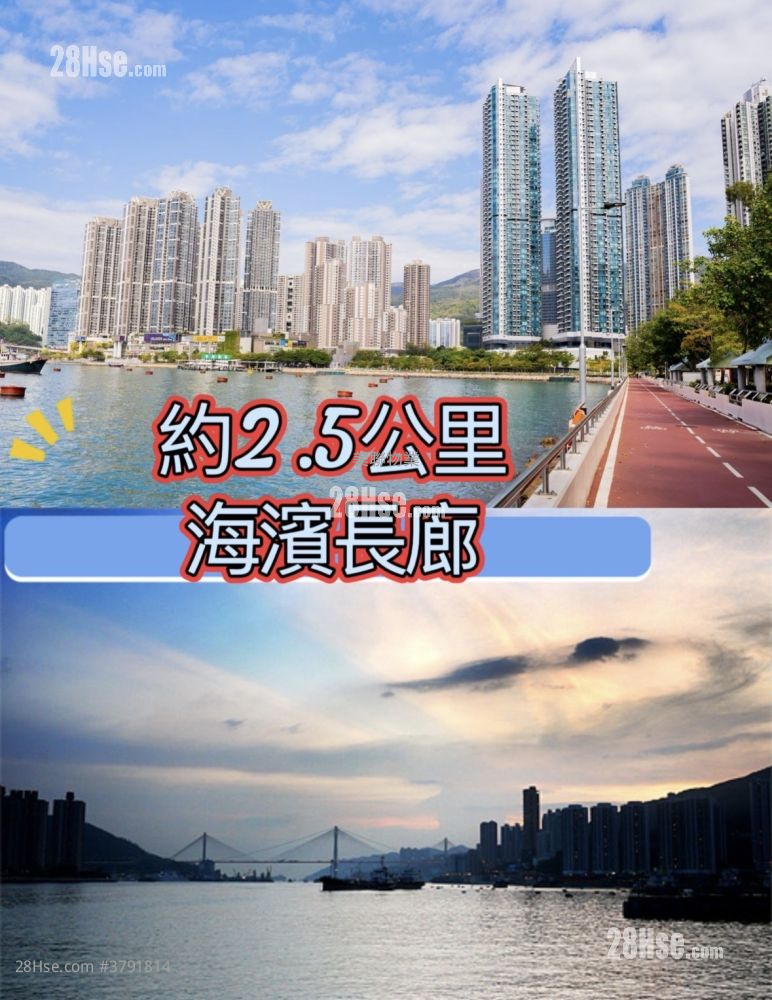 海之恋 售盘 1 房 , 1 浴室 369 平方尺