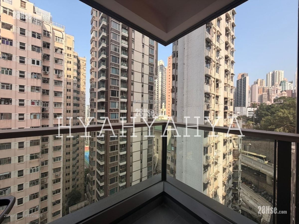 The Hilltop Rental 2 Bedrooms , 1 Bathroom 475 ft²