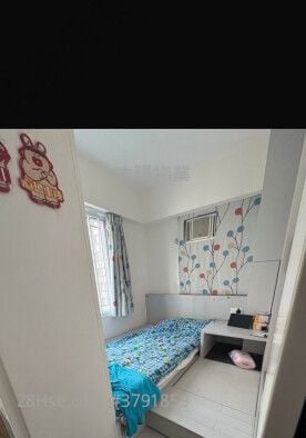 黄埔新村 租盘 2 房 341 平方尺