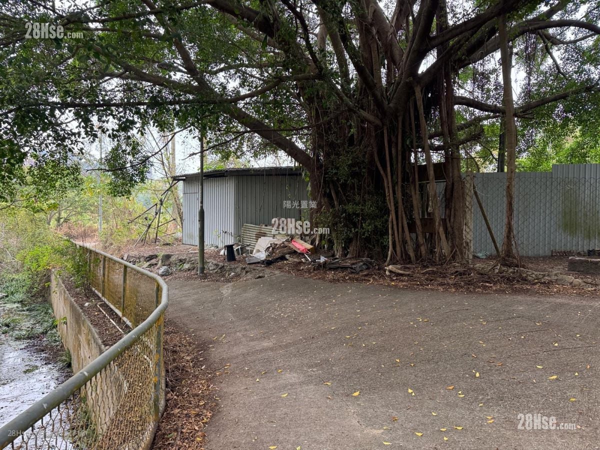 农地 租盘 1 浴室 1,696 平方尺