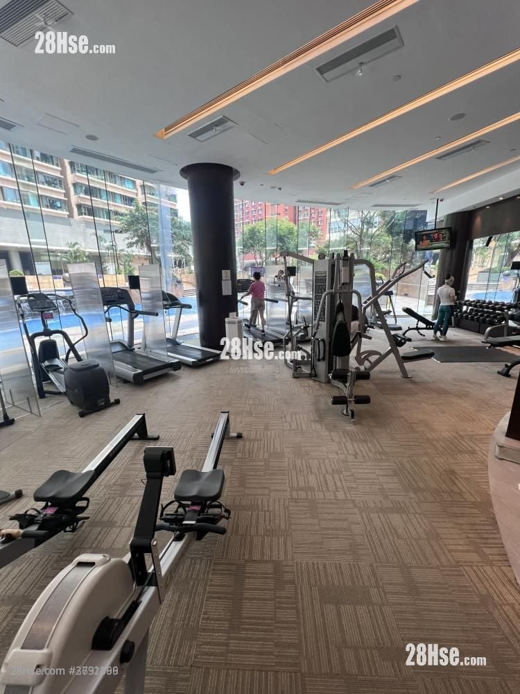 半岛豪庭 租盘 1 房 , 1 浴室 442 平方尺