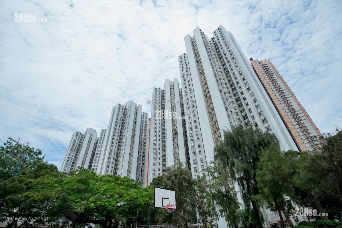 Prime View Garden Sell 2 Bedrooms , 1 Bathroom 400 ft²