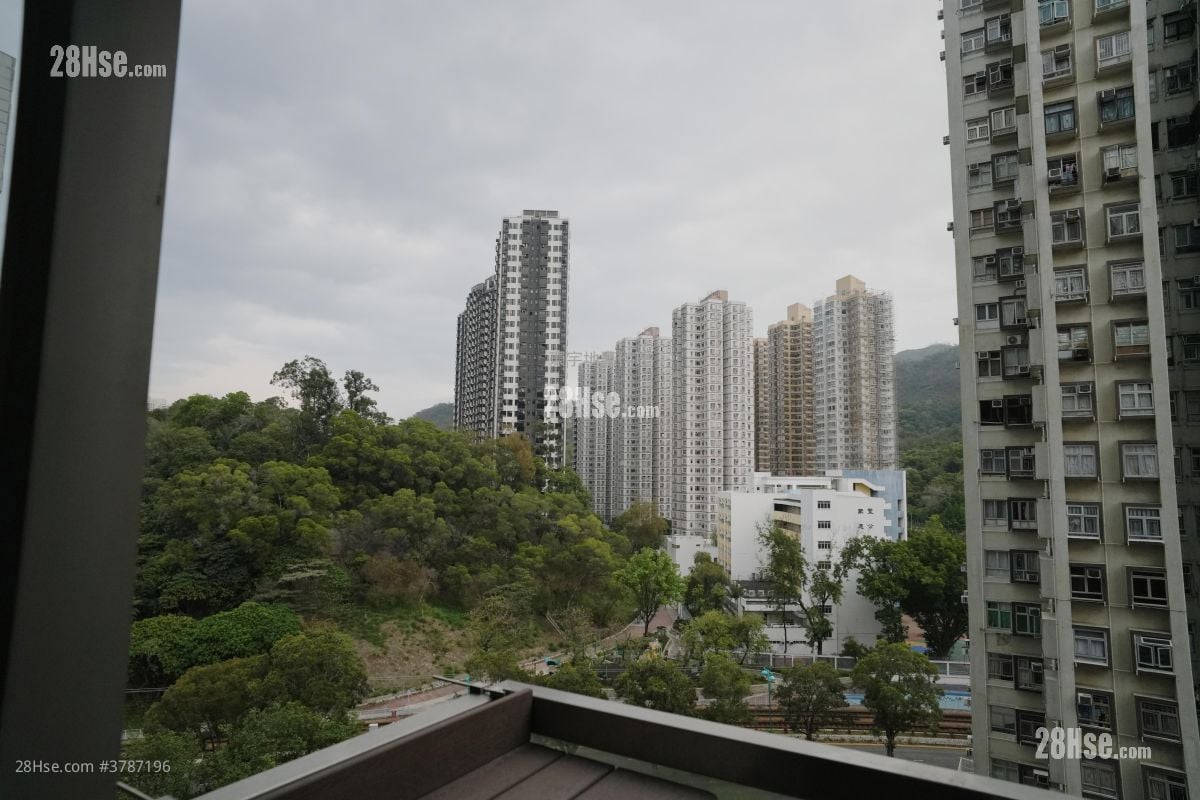 菁隽 租盘 开放式间隔 , 1 浴室 168 平方尺