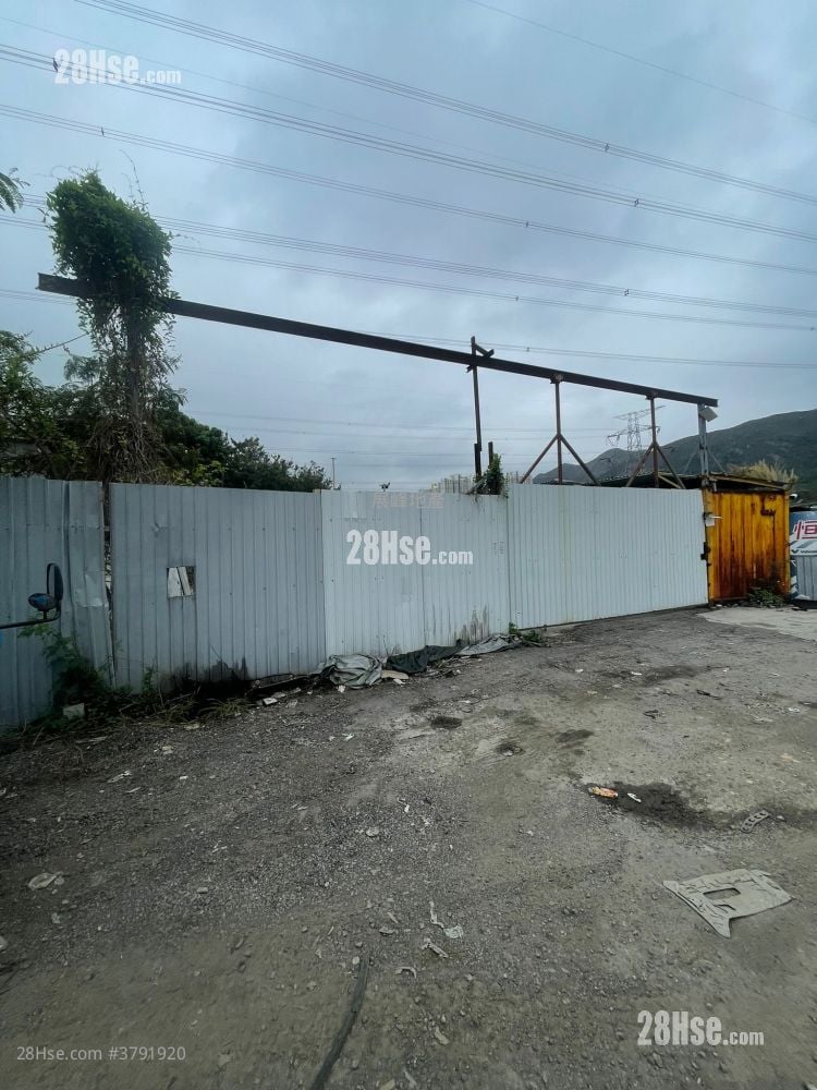 土地 租盘 2,500 平方尺