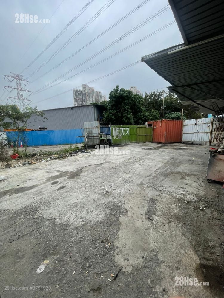 土地 租盘 2,500 平方尺