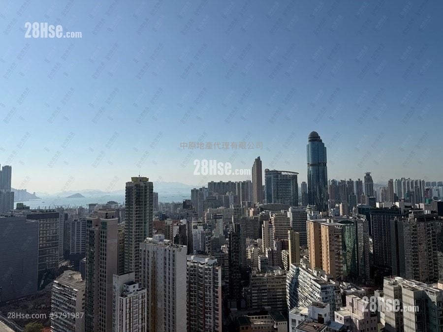 何文田山道1号 租盘 4 房 , 3 浴室 2,020 平方尺