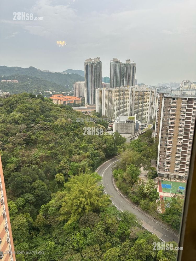 Golden Lion Garden Rental 1 Bedroom , 1 Bathroom 266 ft²