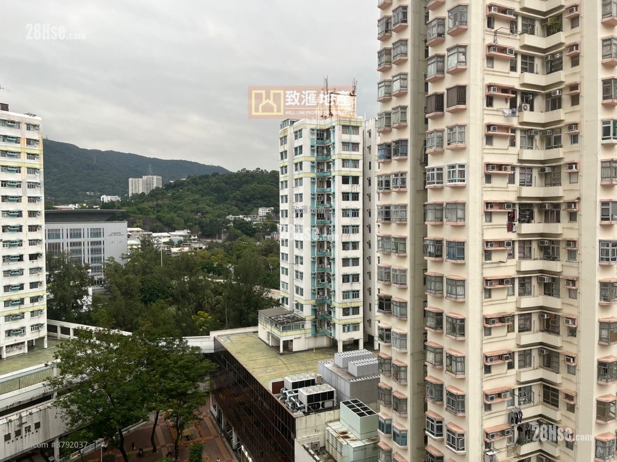 富丽花园 售盘 2 房 313 平方尺