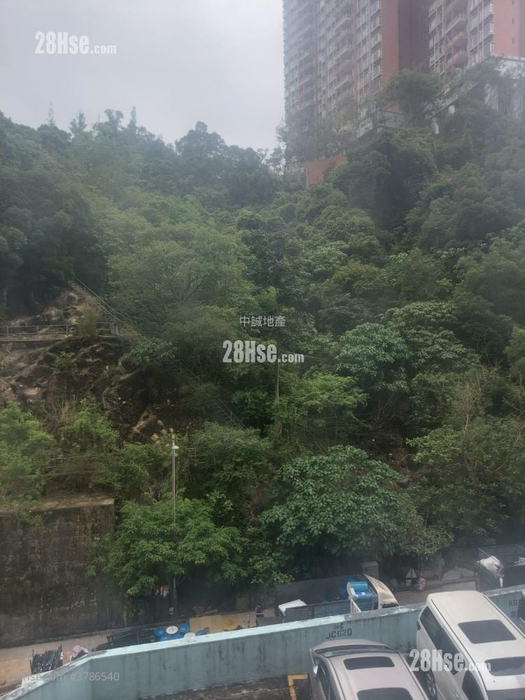 华卫工贸中心 租盘