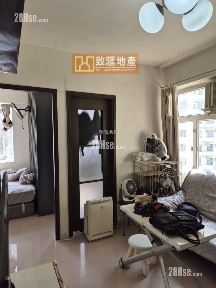 富丽花园 售盘 1 房 330 平方尺