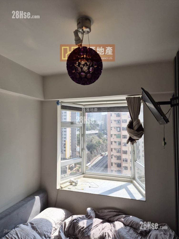 富丽花园 售盘 1 房 330 平方尺