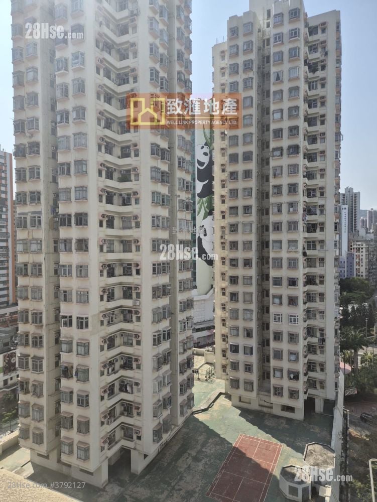 富丽花园 售盘 1 房 330 平方尺