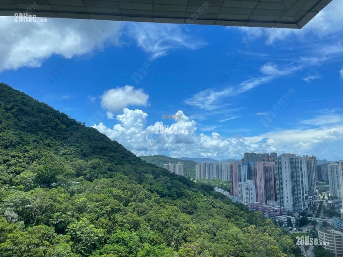 翠岭峰 售盘 2 房 450 平方尺