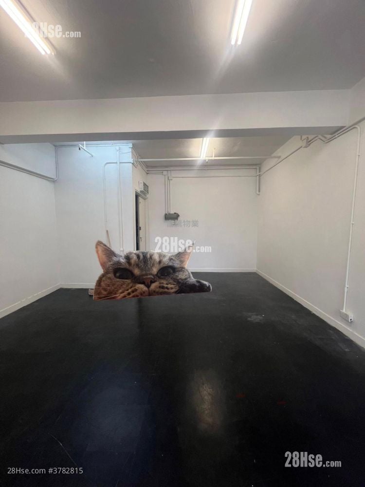 国际工业中心 租盘