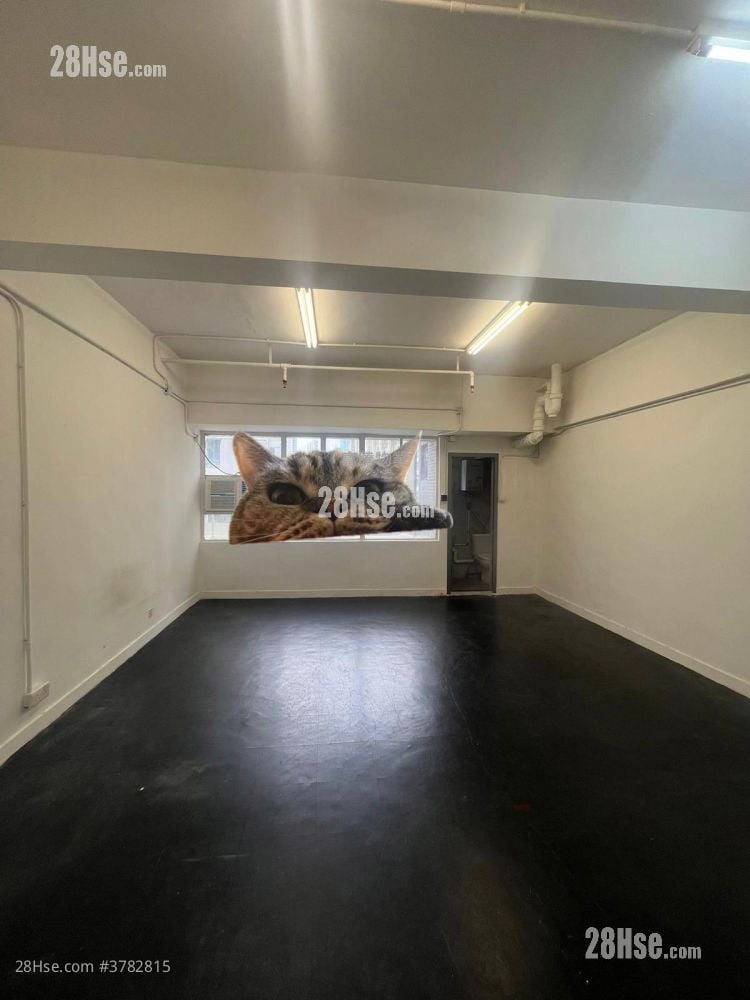 国际工业中心 租盘