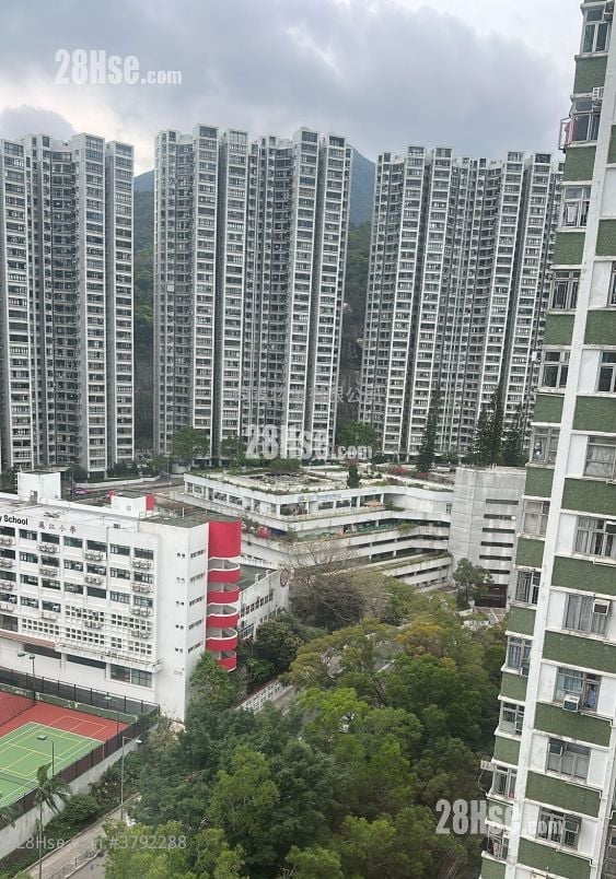 Nan Fung Sun Chuen Rental 2 Bedrooms , 1 Bathroom 391 ft²