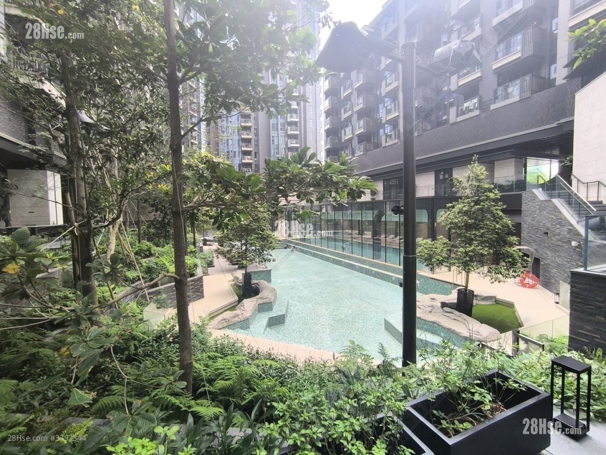 柏蔚森 租盘 385 平方尺