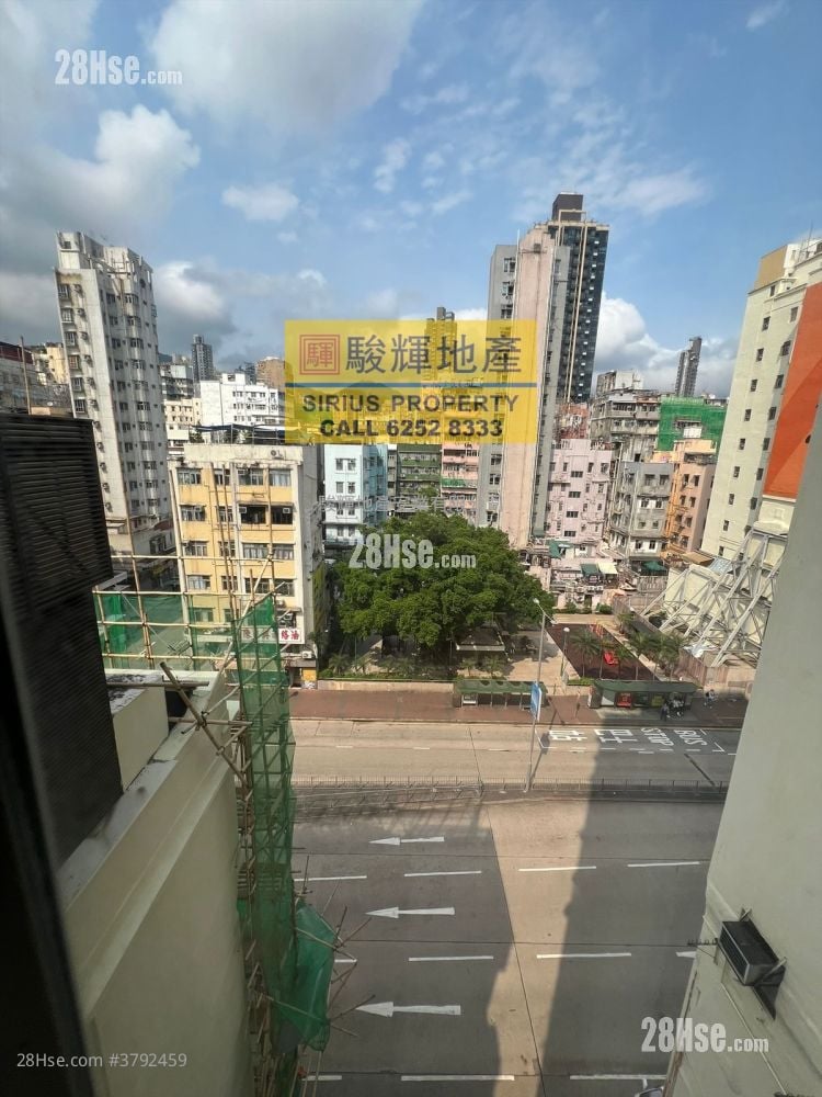 丽宝大厦 租盘 262 平方尺