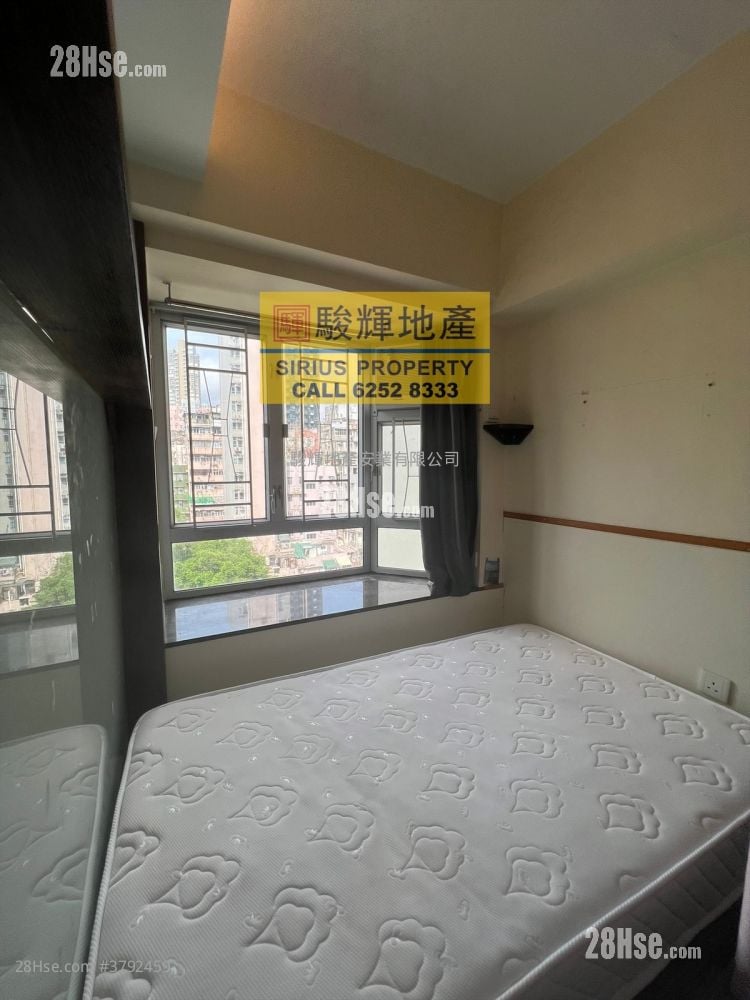 丽宝大厦 租盘 262 平方尺