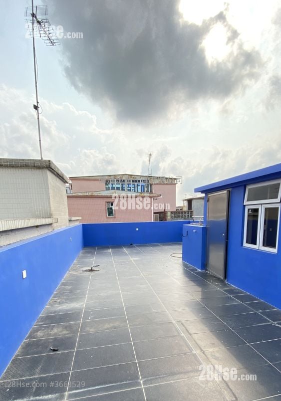 村屋 租盘 3 房 700 平方尺