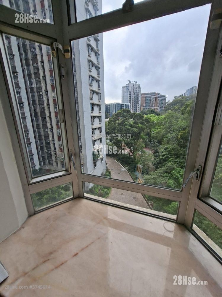 天马苑 租盘 2 房 415 平方尺