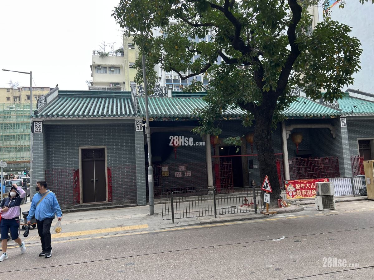 医局街191号 售盘 5+ 房 , 5+ 浴室 659 平方尺