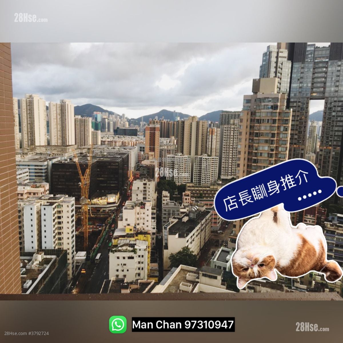 傲形 售盘 开放式间隔 204 平方尺