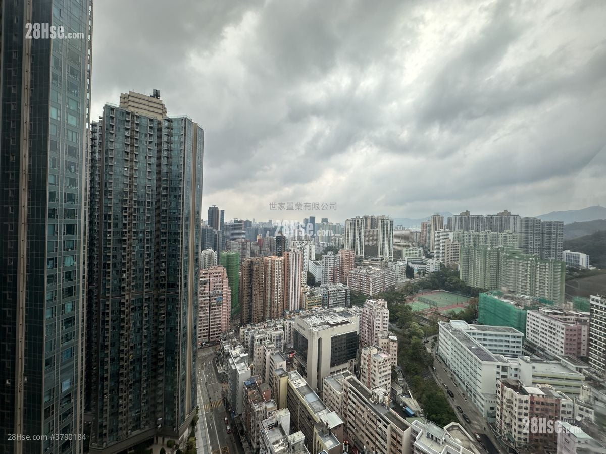 观月桦峯 售盘 3 房 808 平方尺