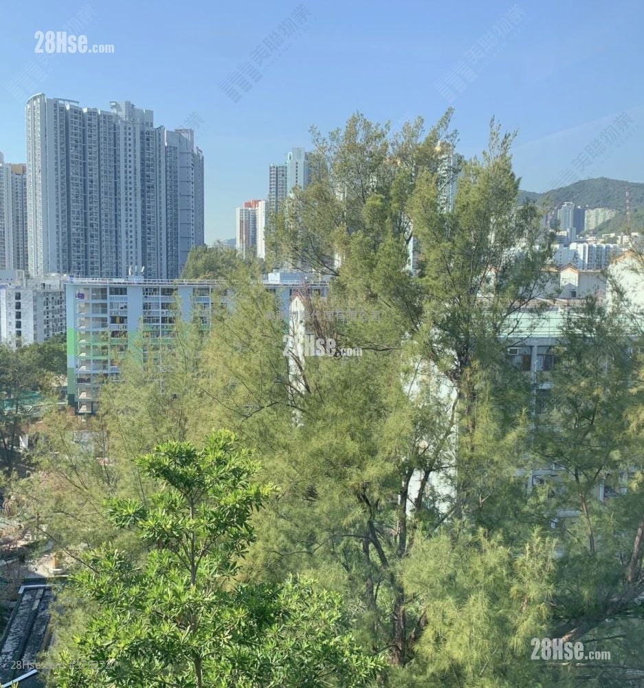 No.62 Begonia Road Sell 4 Bedrooms , 5+ Bathrooms 4,386 ft²