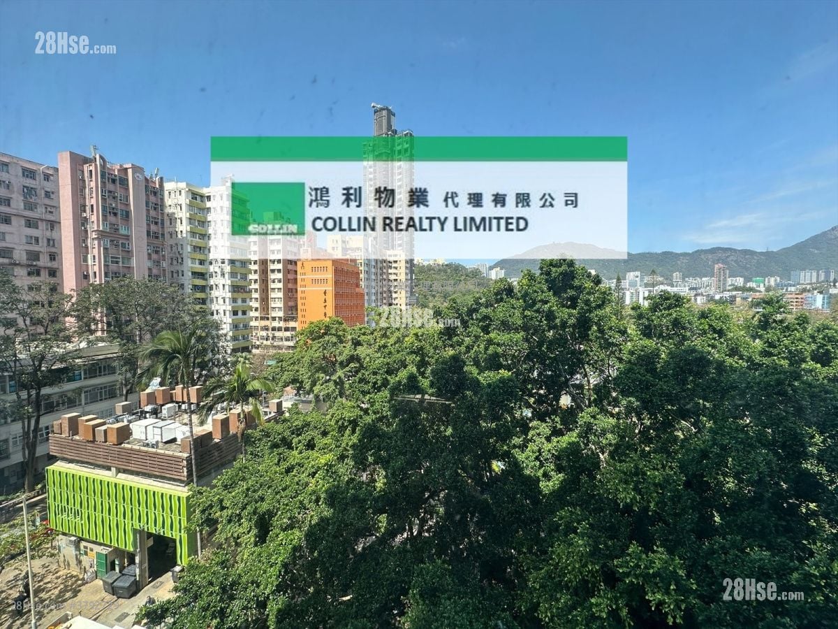 单幢楼房 租盘 3 房 , 2 浴室 535 平方尺