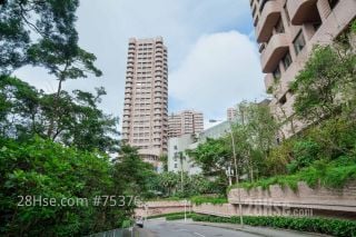 楼市强势 价量齐升 租金连环破顶