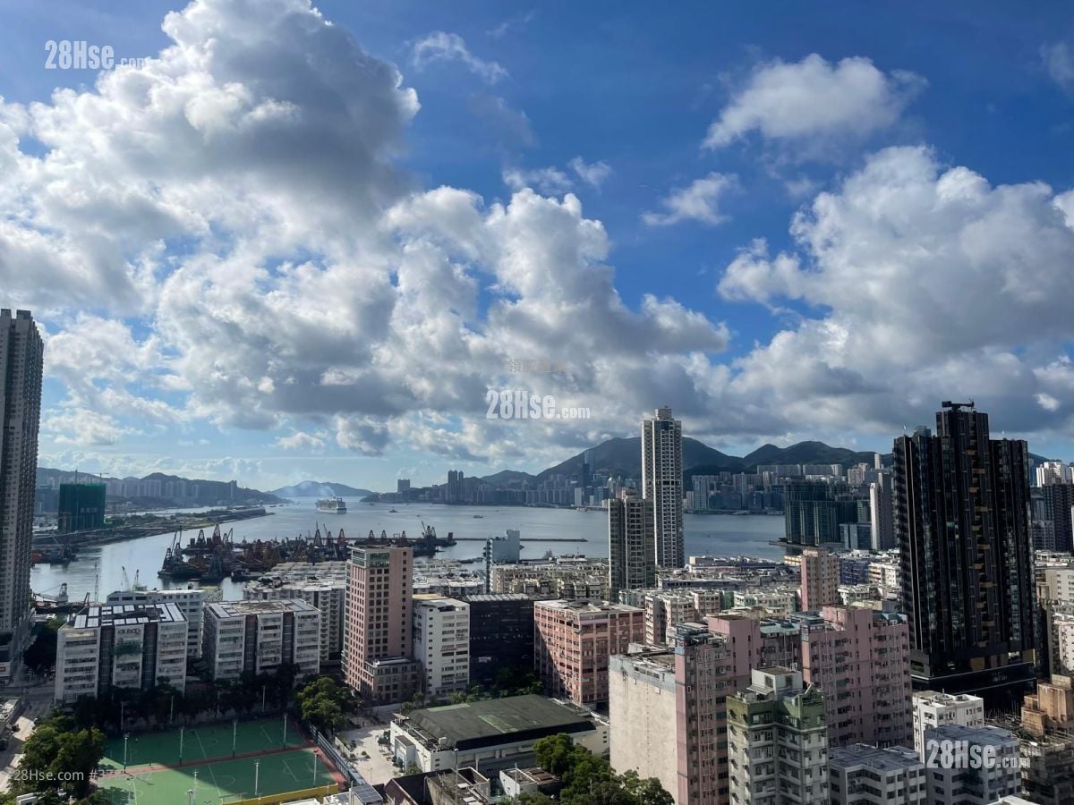 Downtown 38 Rental 1 Bedroom , 1 Bathroom 291 ft²