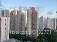 富佑大厦 租盘 239 平方尺