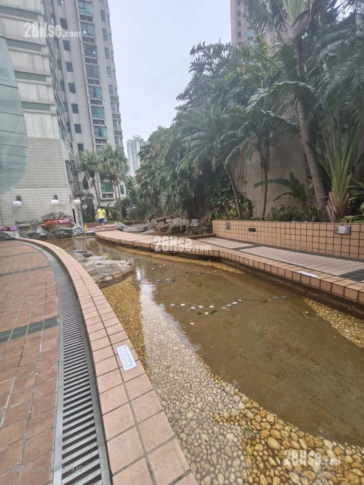 University Heights Rental 1 Bedroom , 1 Bathroom 464 ft²