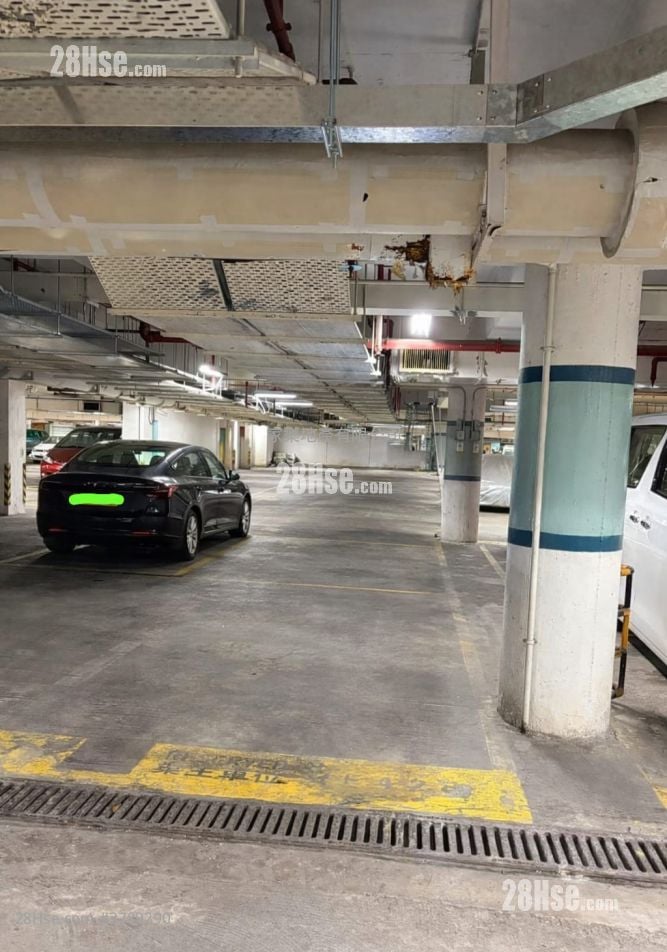 South Horizons Rental