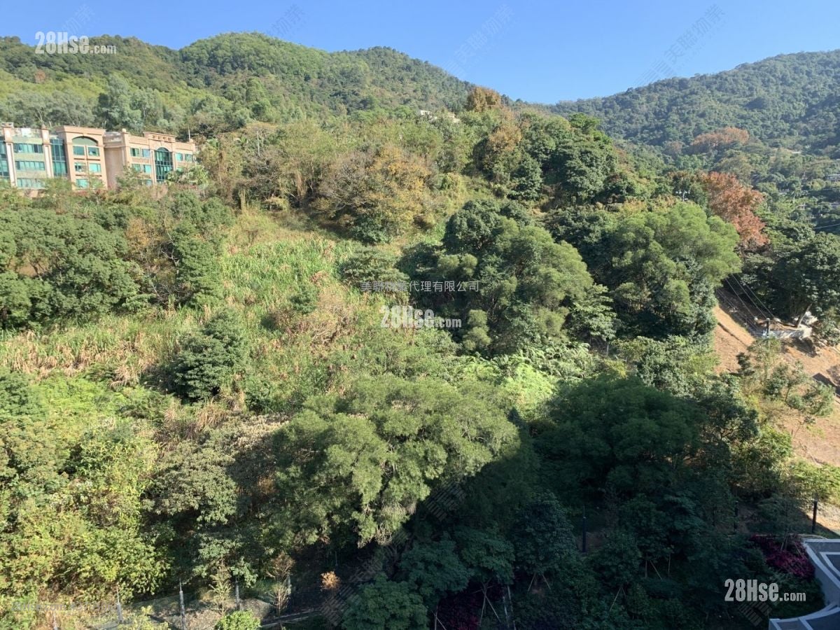 天钻 售盘 3 房 584 平方尺