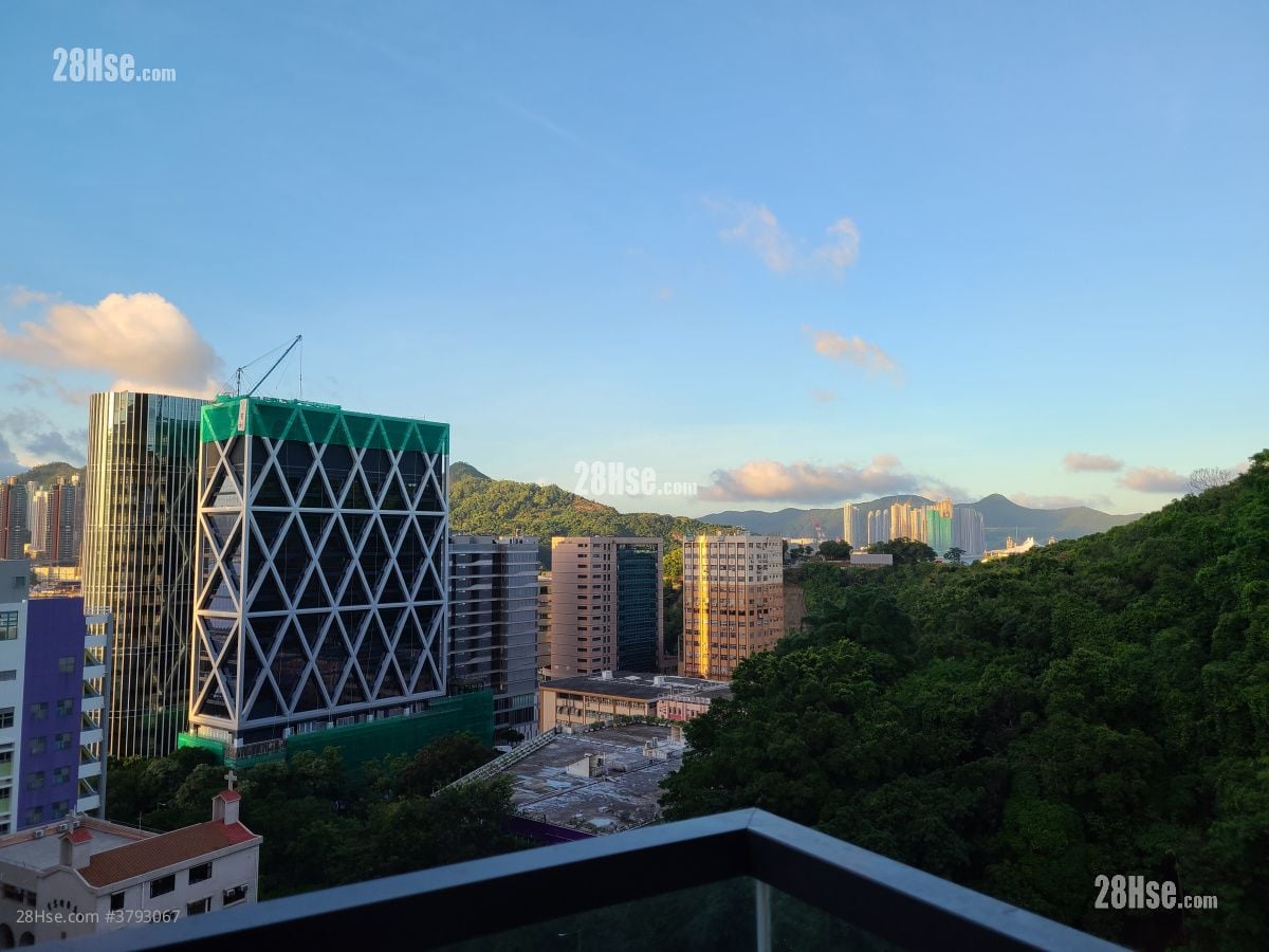 远晴 租盘 1 房 , 1 浴室 275 平方尺