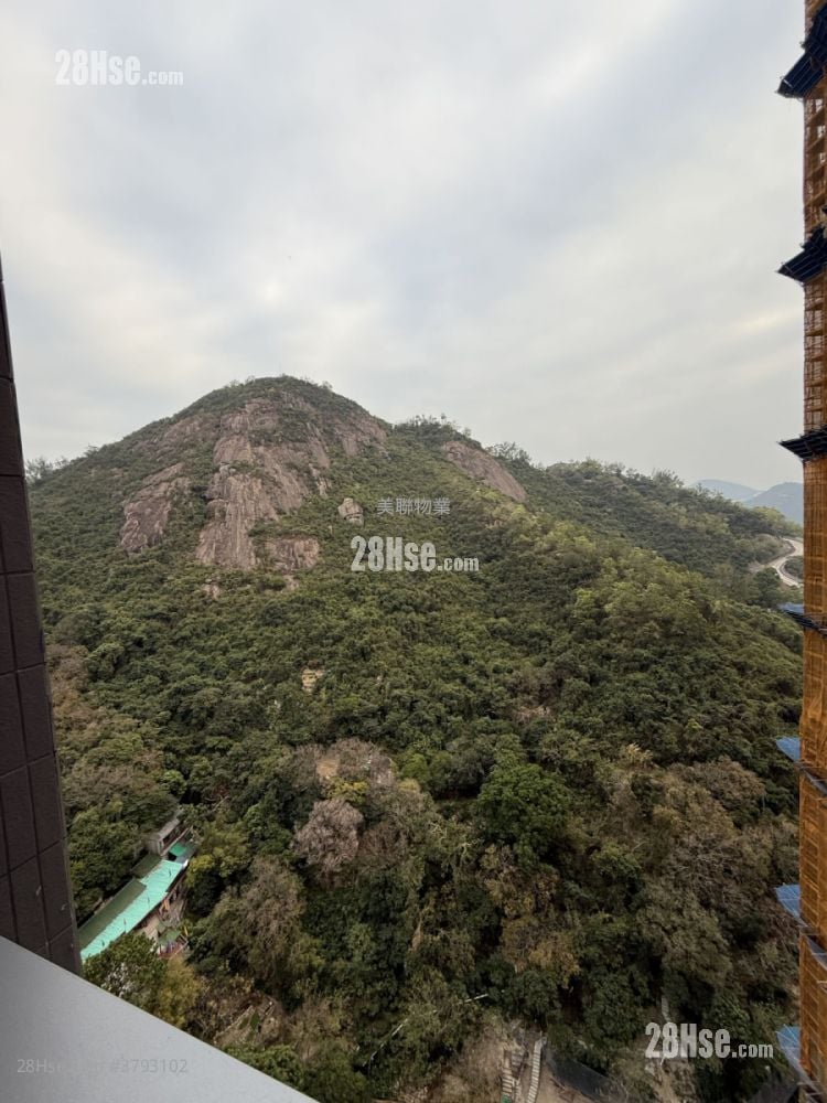 朗誉 租盘 开放式间隔 , 1 浴室 246 平方尺