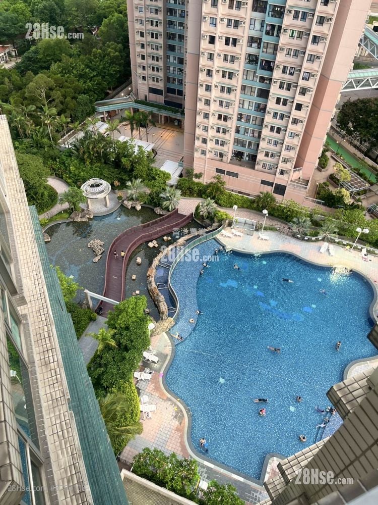 Metro Harbour View Sell 2 Bedrooms , 1 Bathroom 338 ft²