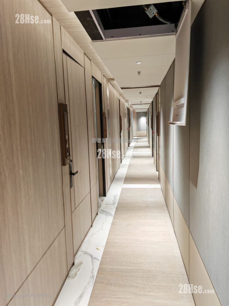 Matakok Rental Studio