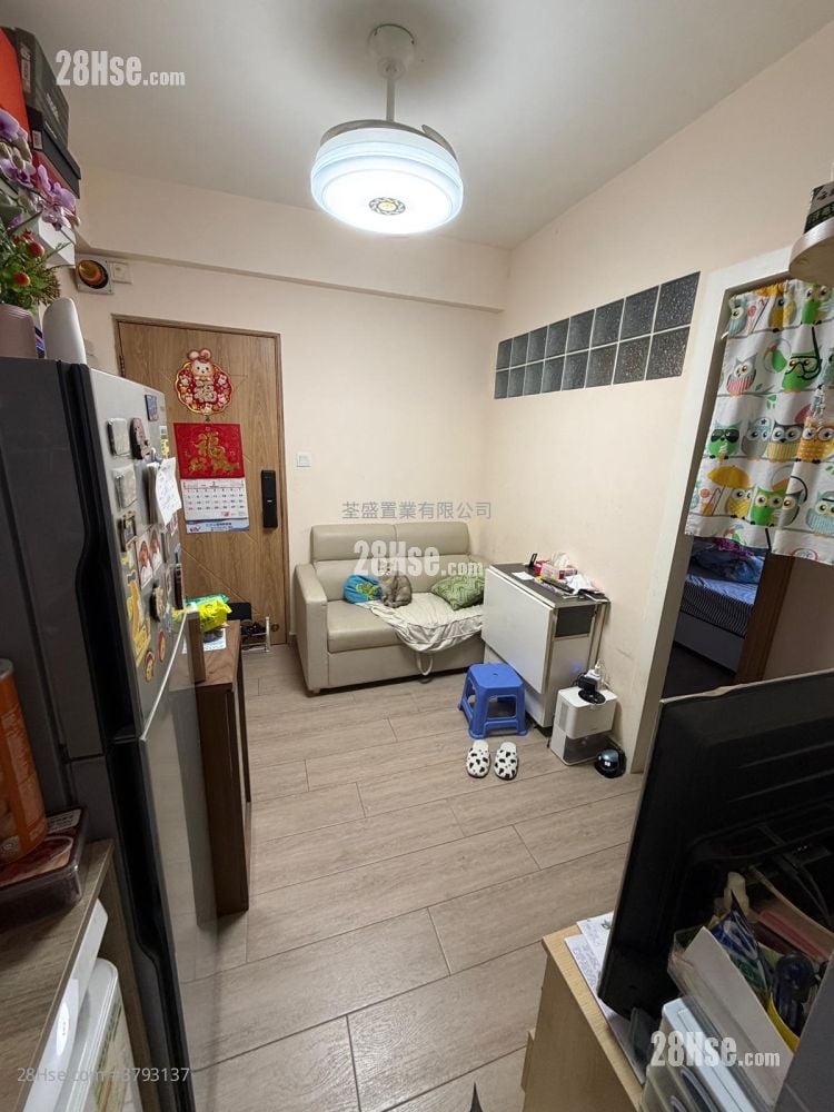 厅: 荃湾单幢式洋楼 售盘 1 房 , 1 浴室 307 平方尺